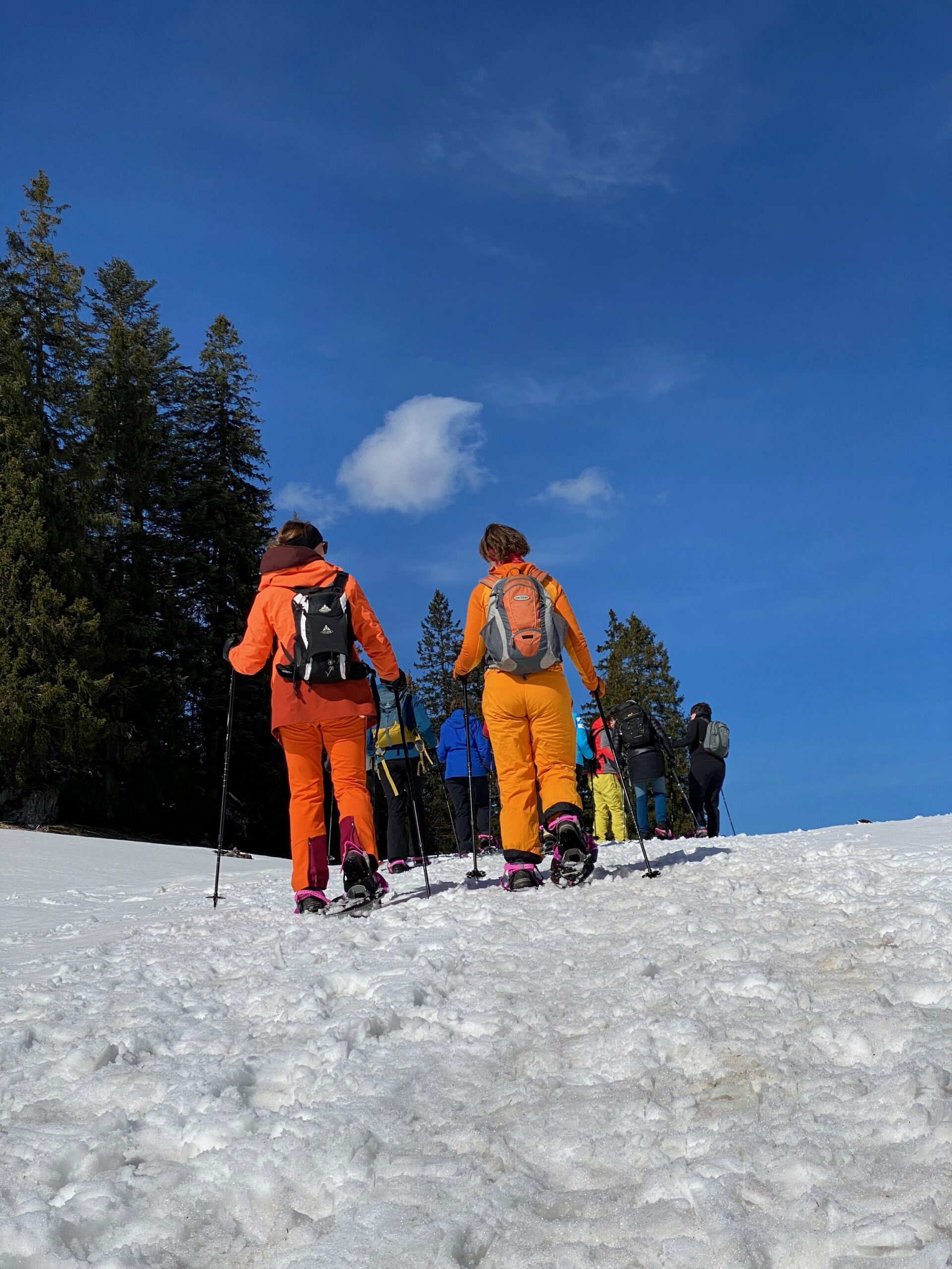 Yogis mit Schneeschuhen über den Freudenreichsattel